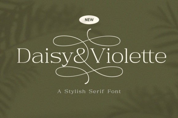 Daisy Violette: A Modern Serif for Thoughtful Editorial Design